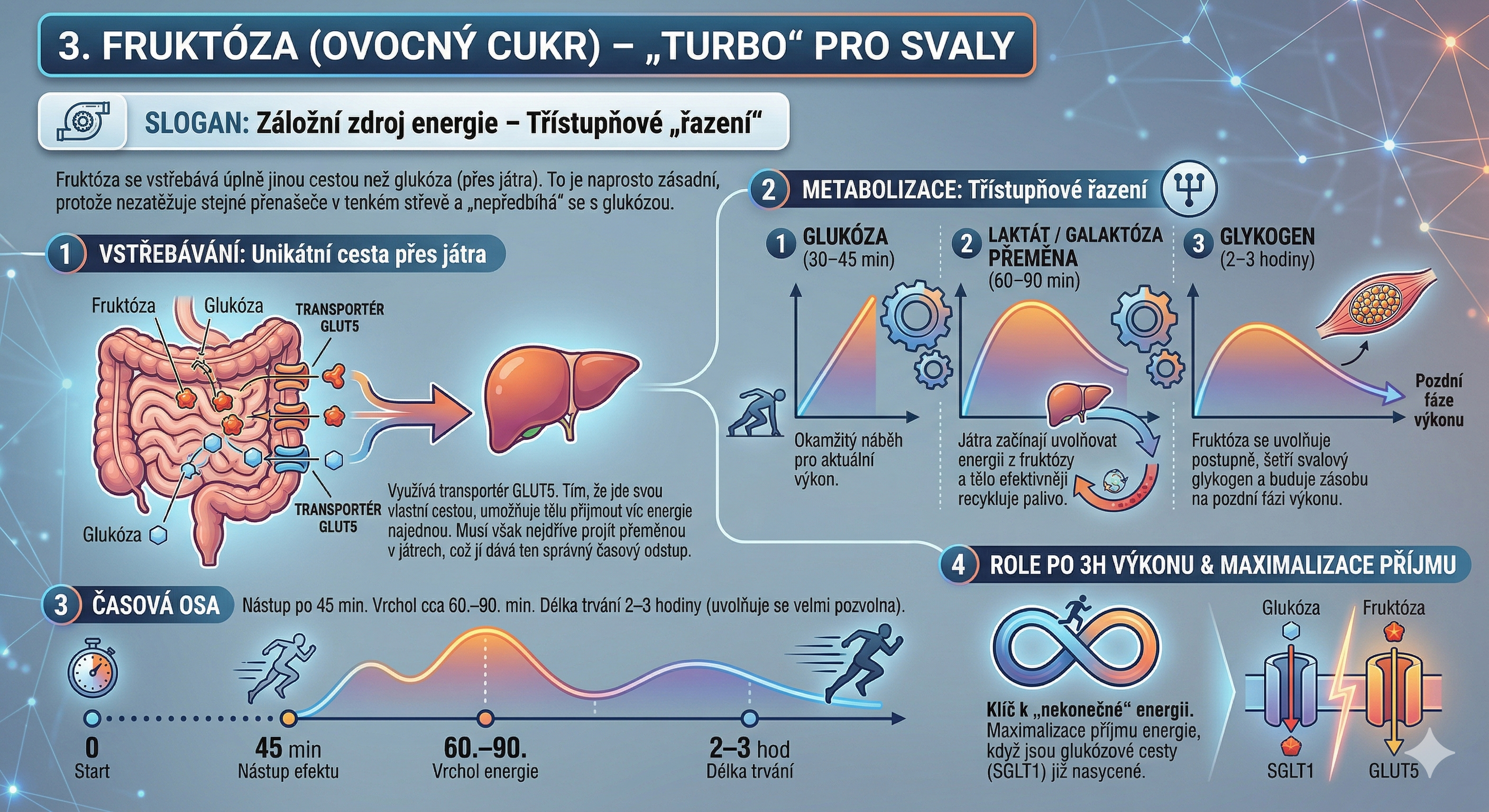 komplexni-infografika-fruktoza